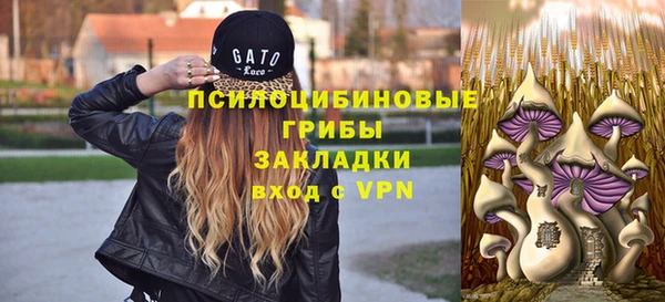 молекула духа Володарск
