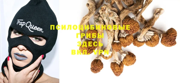а пвп мука Вяземский